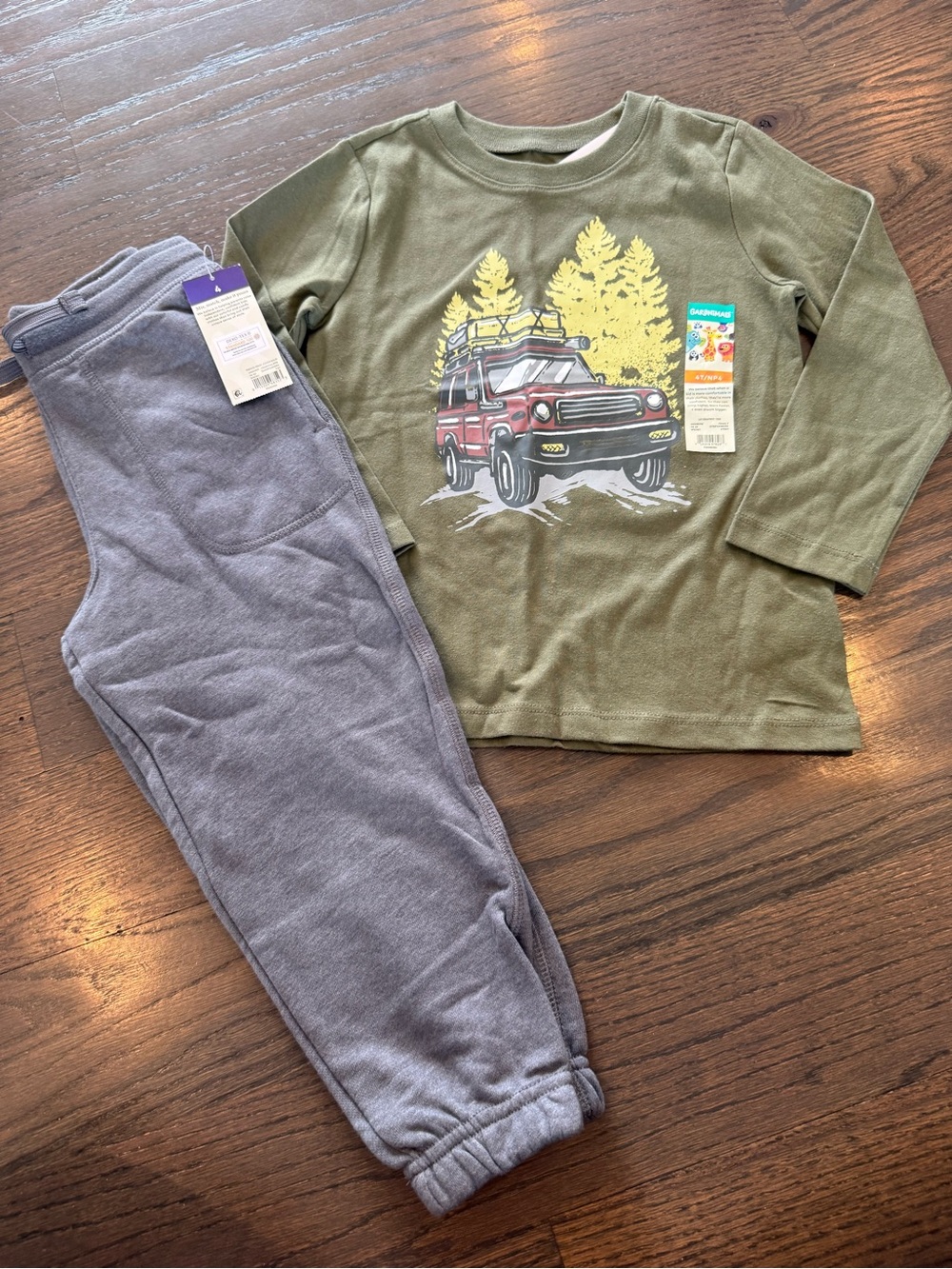 NWT 4T Garanimals Outfit